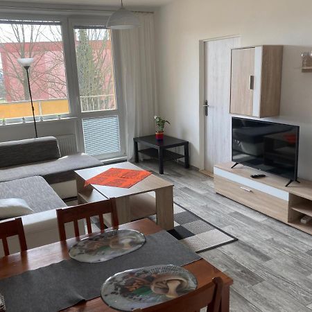 Apartman Ve Velkych Losinach Velké Losiny エクステリア 写真